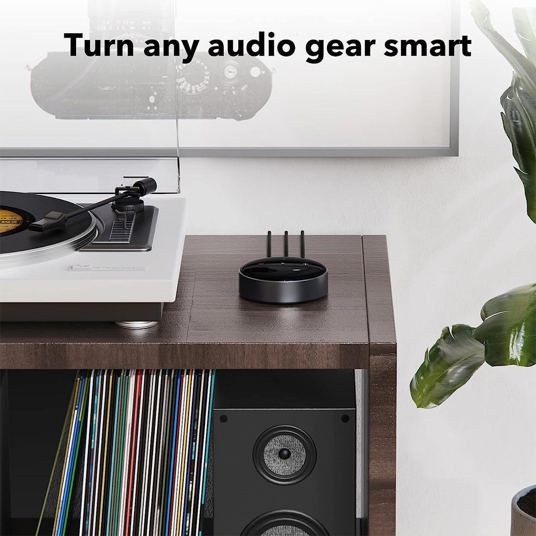 WiiM Mini: Wireless Audio Streamer with Voice Assistant Compatibility
