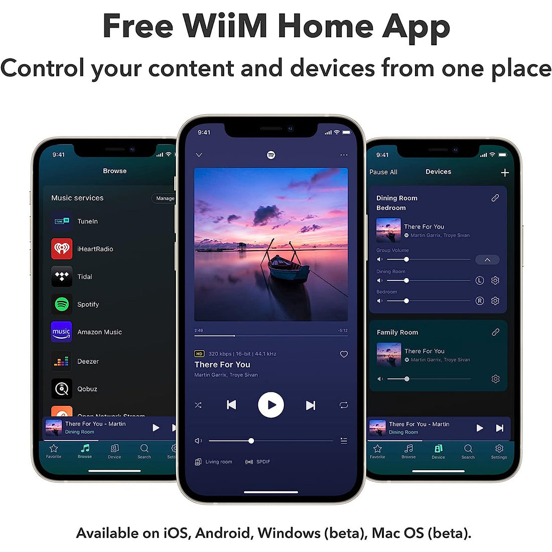 WiiM Mini: Wireless Audio Streamer with Voice Assistant Compatibility