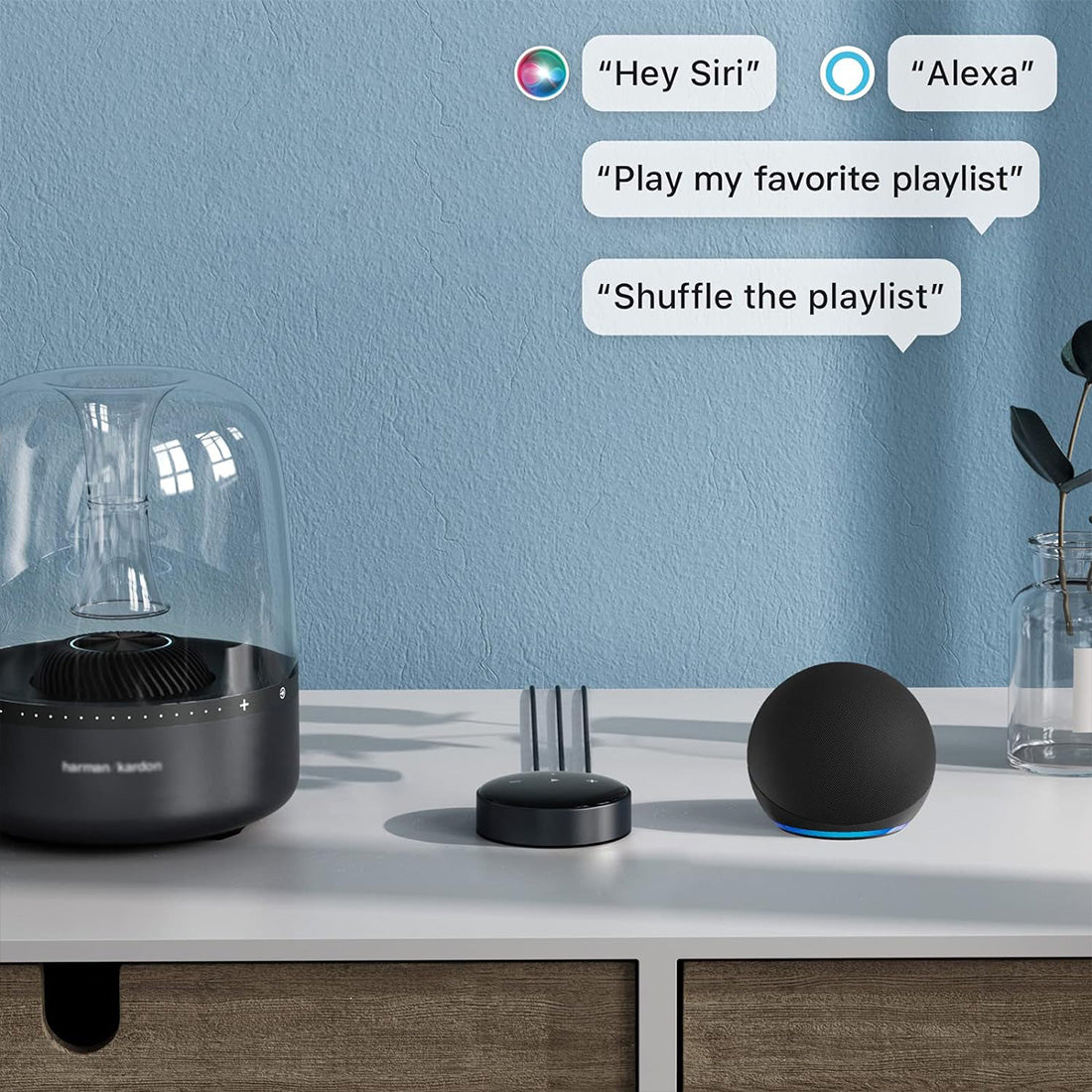 WiiM Mini: Wireless Audio Streamer with Voice Assistant Compatibility