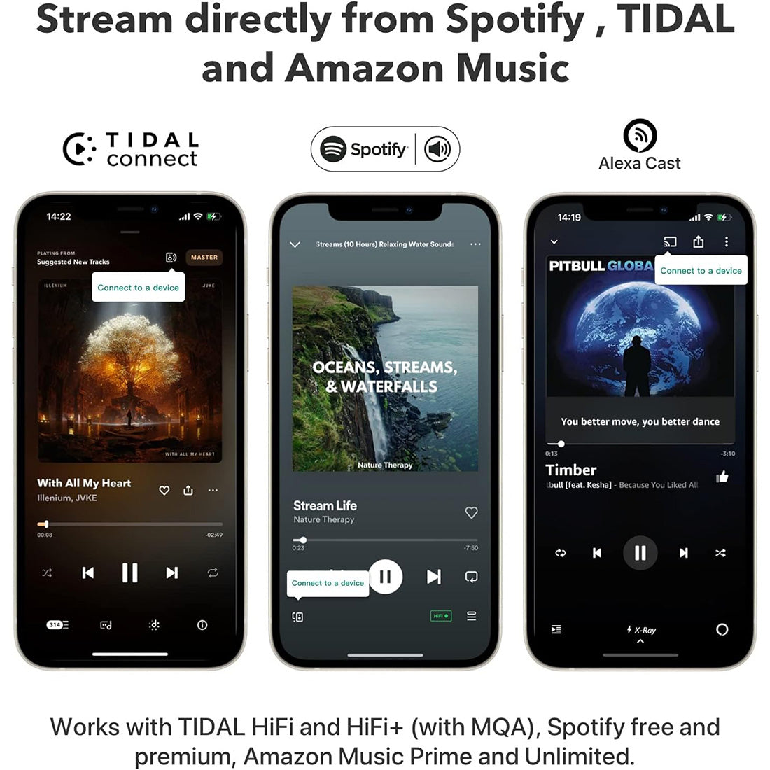 WiiM Pro: AirPlay 2 Receiver, Chromecast Audio, WiFi Multiroom Streamer