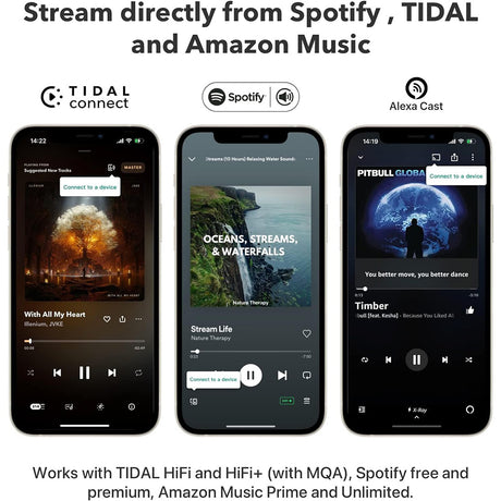 WiiM Pro: AirPlay 2 Receiver, Chromecast Audio, WiFi Multiroom Streamer