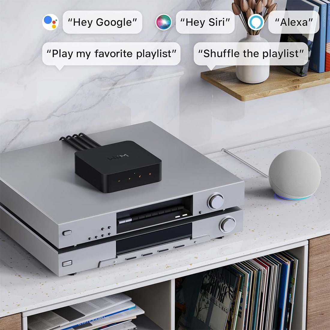 WiiM Pro: AirPlay 2 Receiver, Chromecast Audio, WiFi Multiroom Streamer