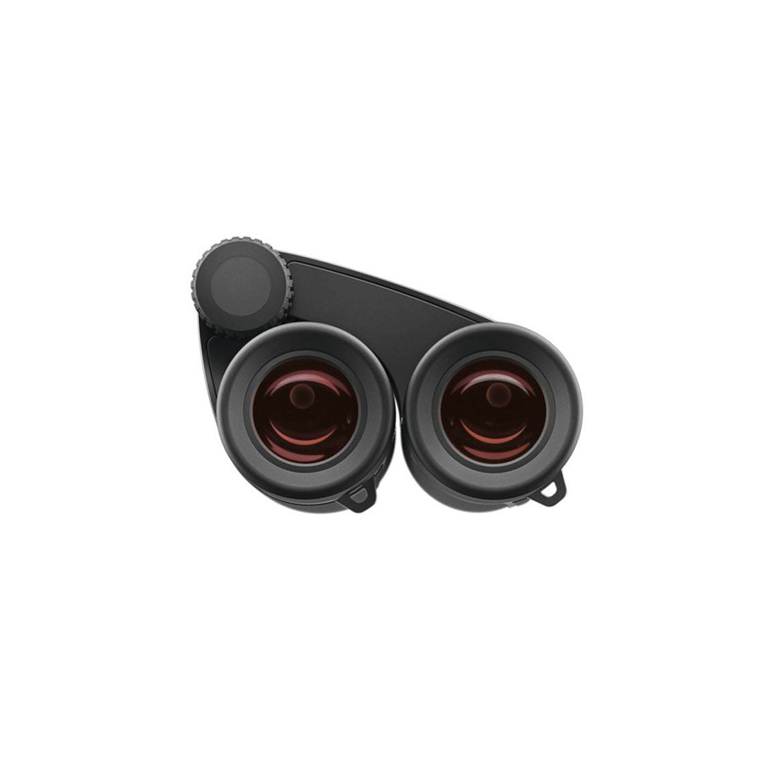Zeiss 522039 Victory Pocket Binoculars, 10x25