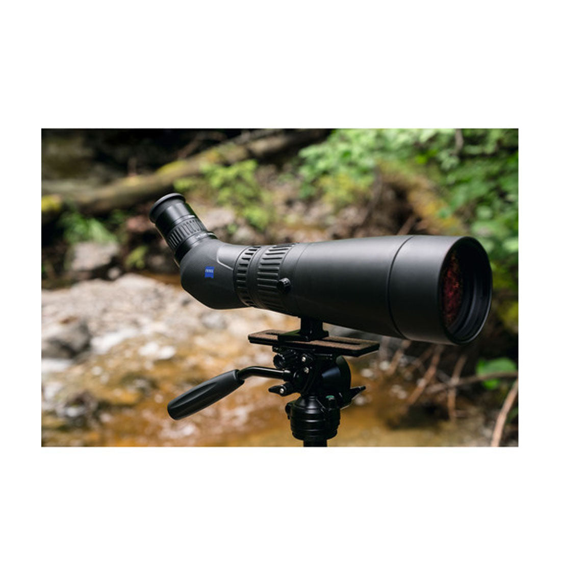 Zeiss 528047 Angled Viewing Victory Harpia 85 Spotting Scope