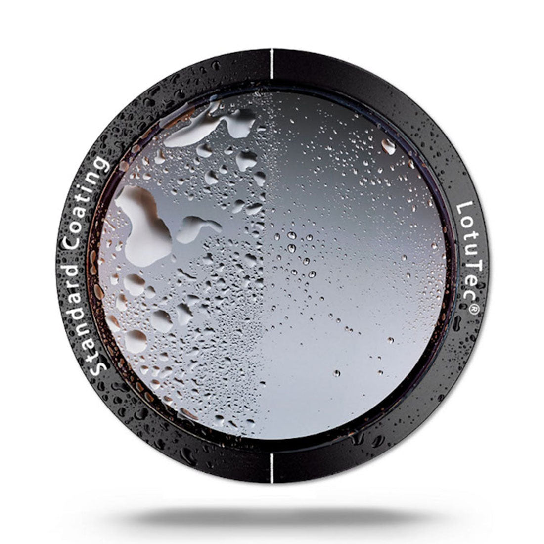 Zeiss 525629 Victory HT Binoculars, 10x54