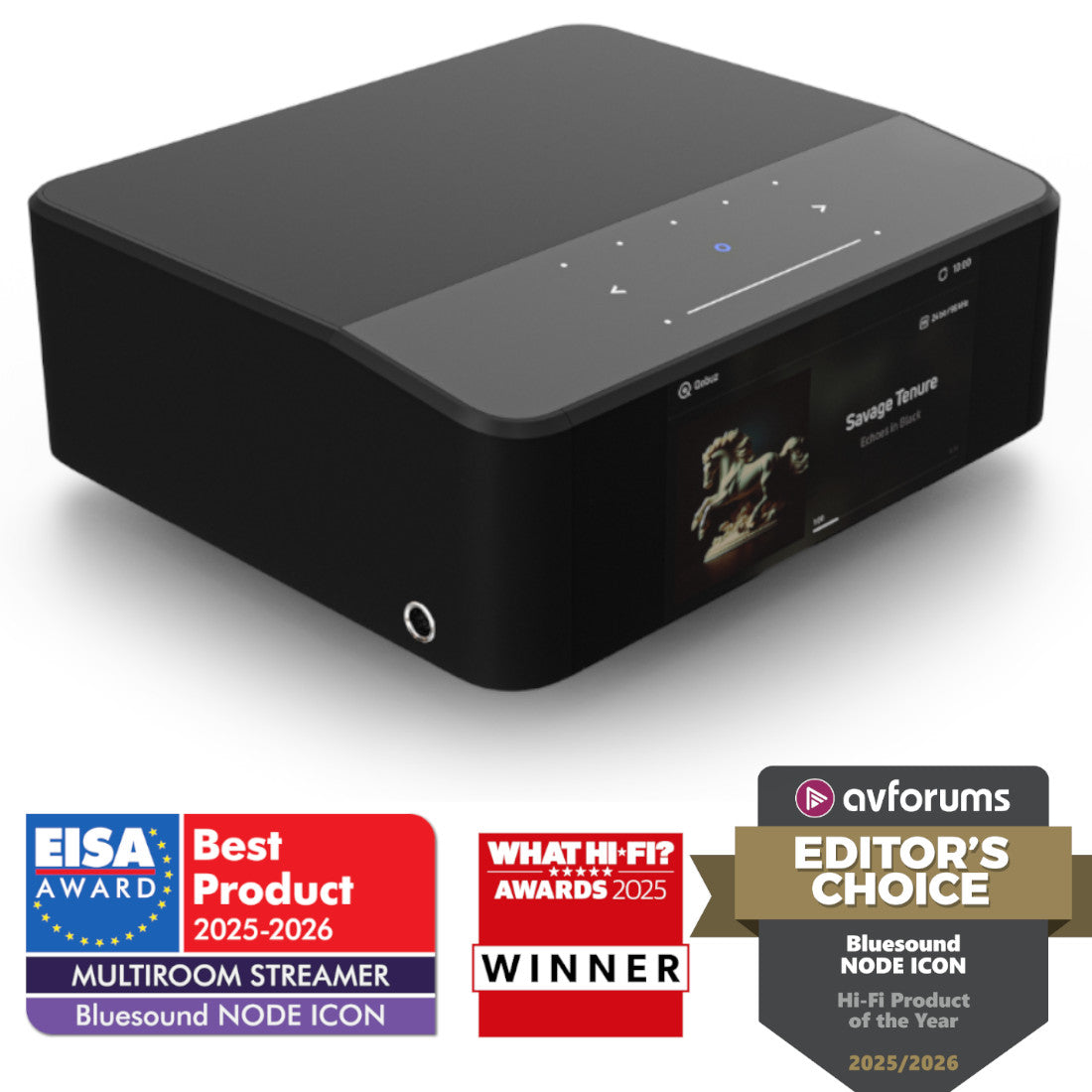 Award-winning Bluesound Node Icon