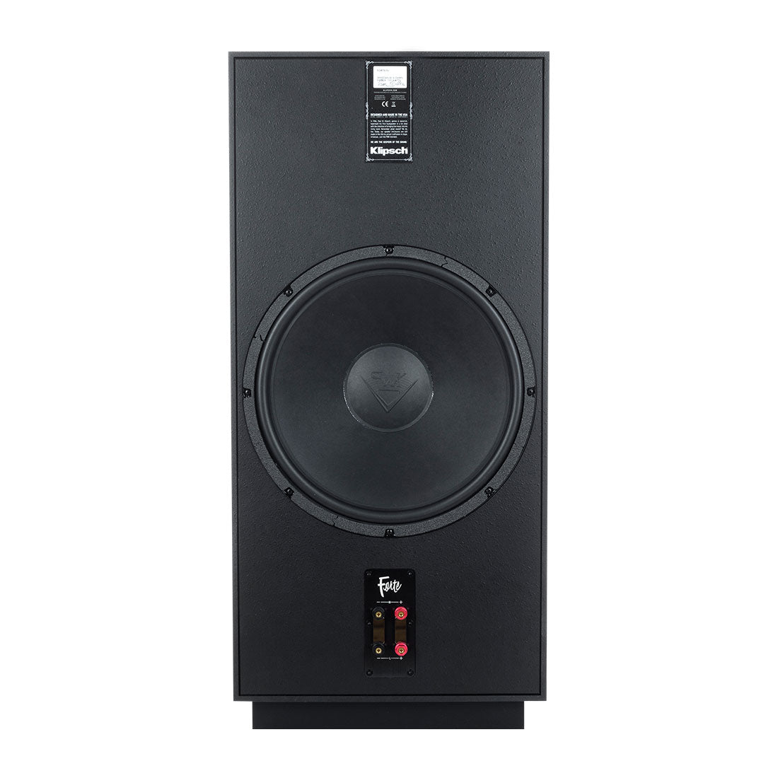 Klipsch Forte IV rear inputs