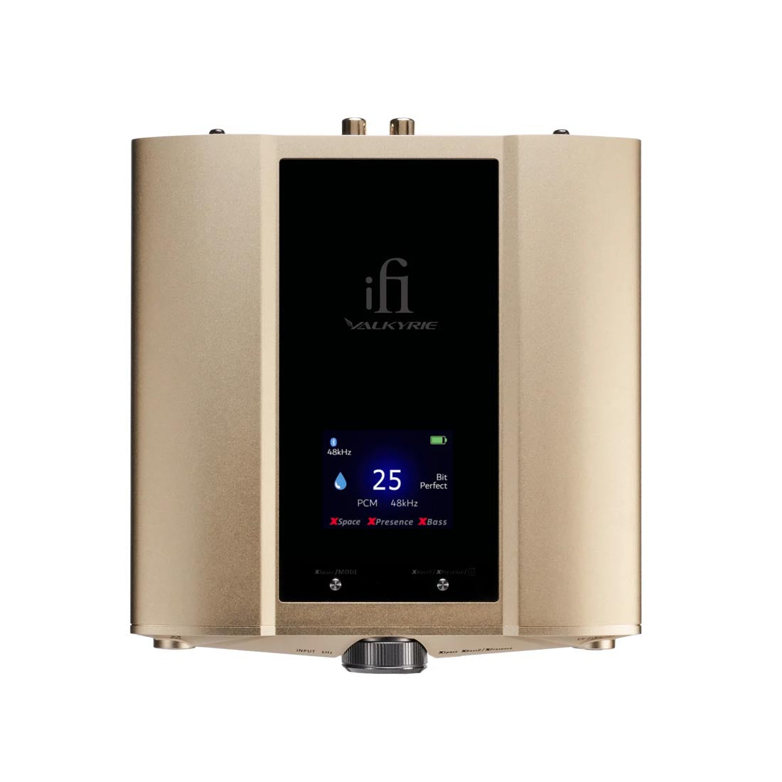 iFi Audio 0303021 iDSD Valkyrie Portable DAC Headphone Amp (0303021)