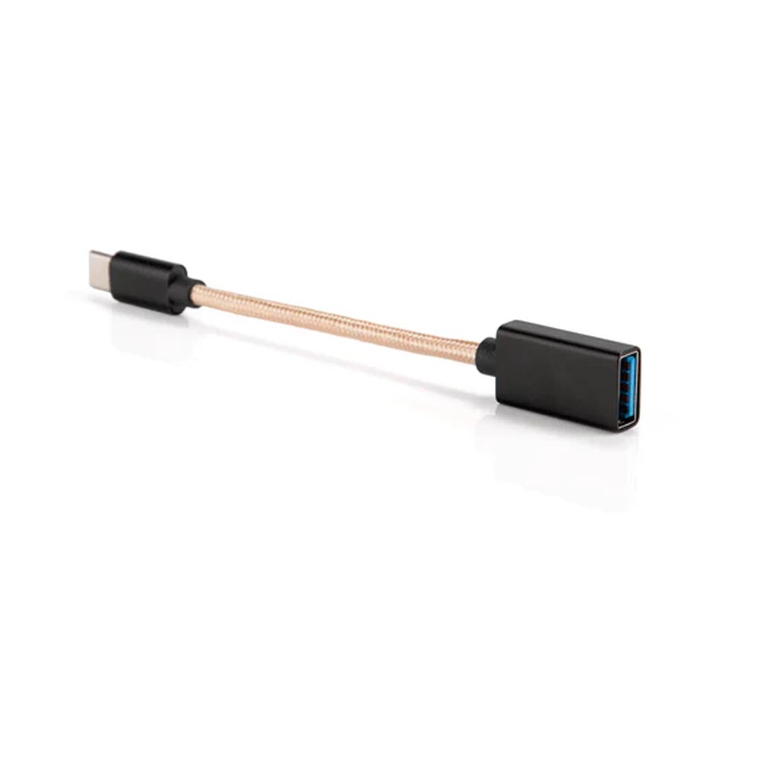 iFi IF0306031 Audio Type-C OTG Cable USB 3.0