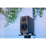 IK Multimedia iLoud Precision MKII Studio Monitor with 6.5" Woofer (11-44265)