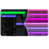 Ace Studio 1358-4210 Studio Artist 2.0 Lifetime Software