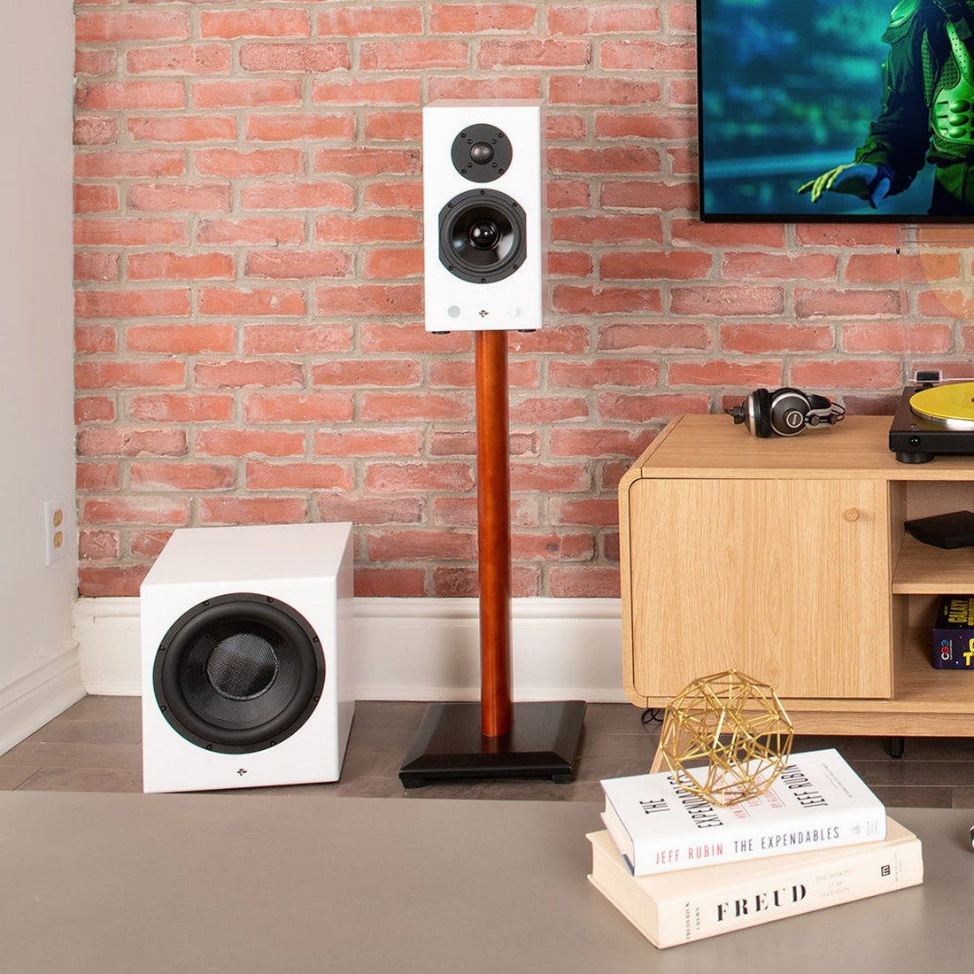 KIN SUB 10 Powered 10” inches Subwoofer Wireless (unit)