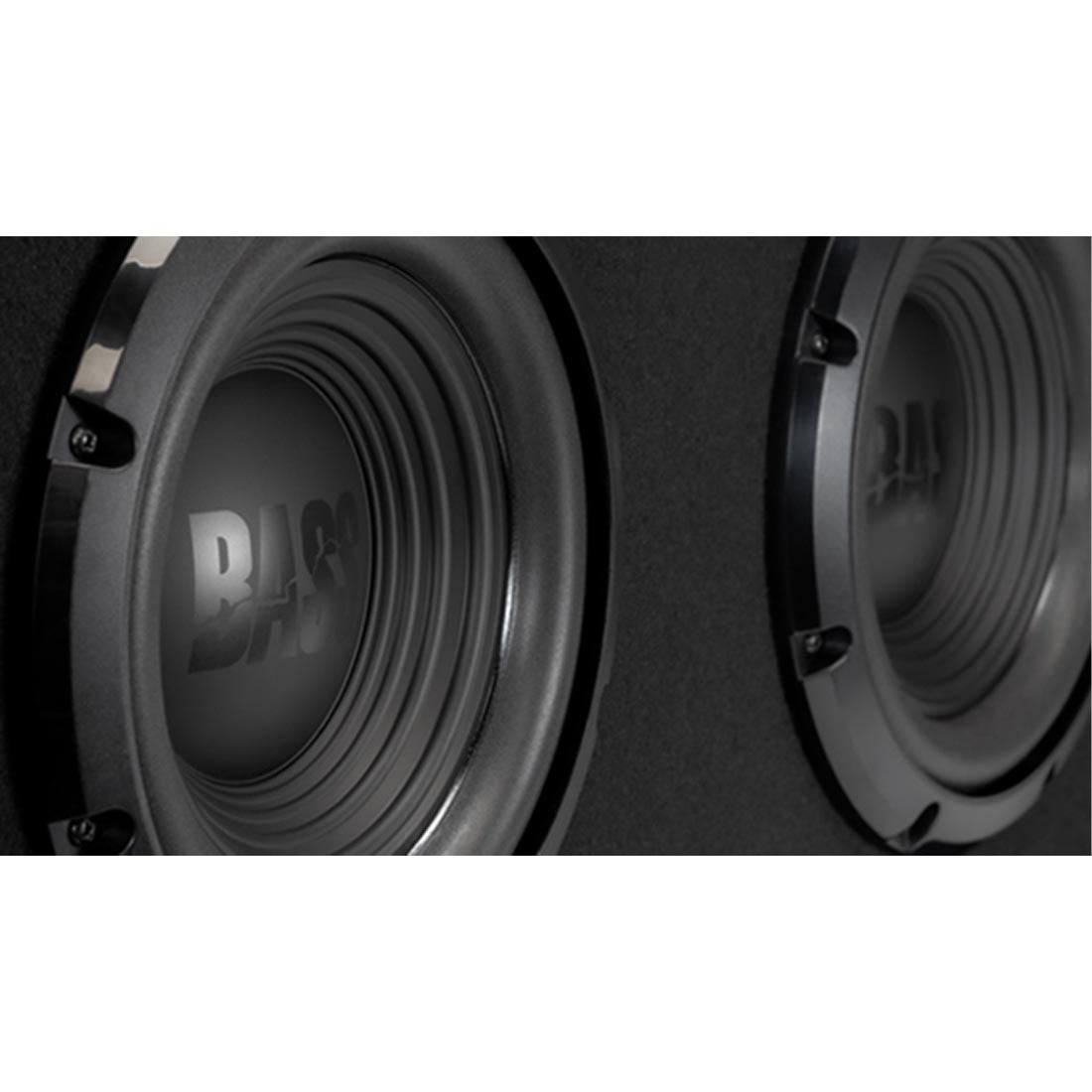 Alpine Bass Series Dual Enclosure
