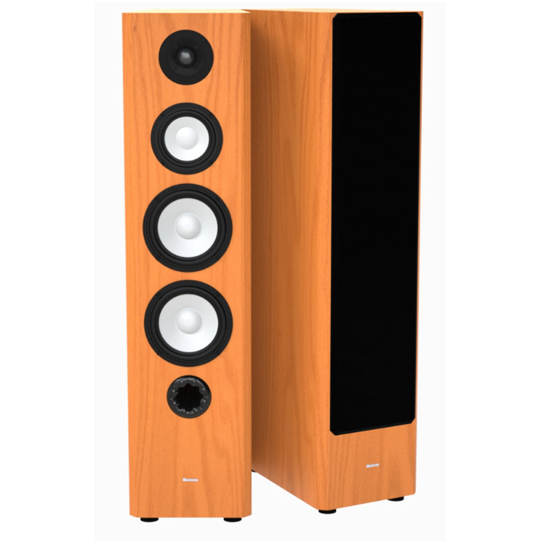 Axiom M60 Floor Standing Speakers - Pair (M60) - Gibbys Electronic