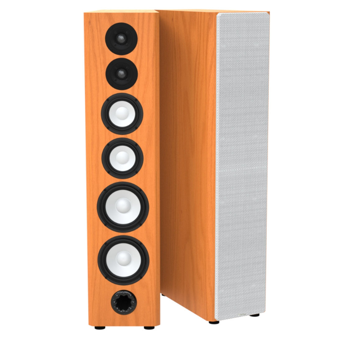 Axiom 15058 M80 Floor Standing Speakers - Pair (M80) - Gibbys