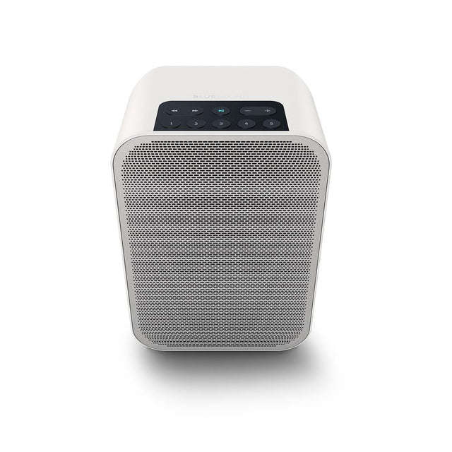 Bluesound Pulse Flex 2i Portable Wireless Multi-Room Music Streaming Speaker - White