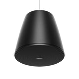 Bose Professional DM10P-SUB 10" DesignMax Pendant Subwoofer
