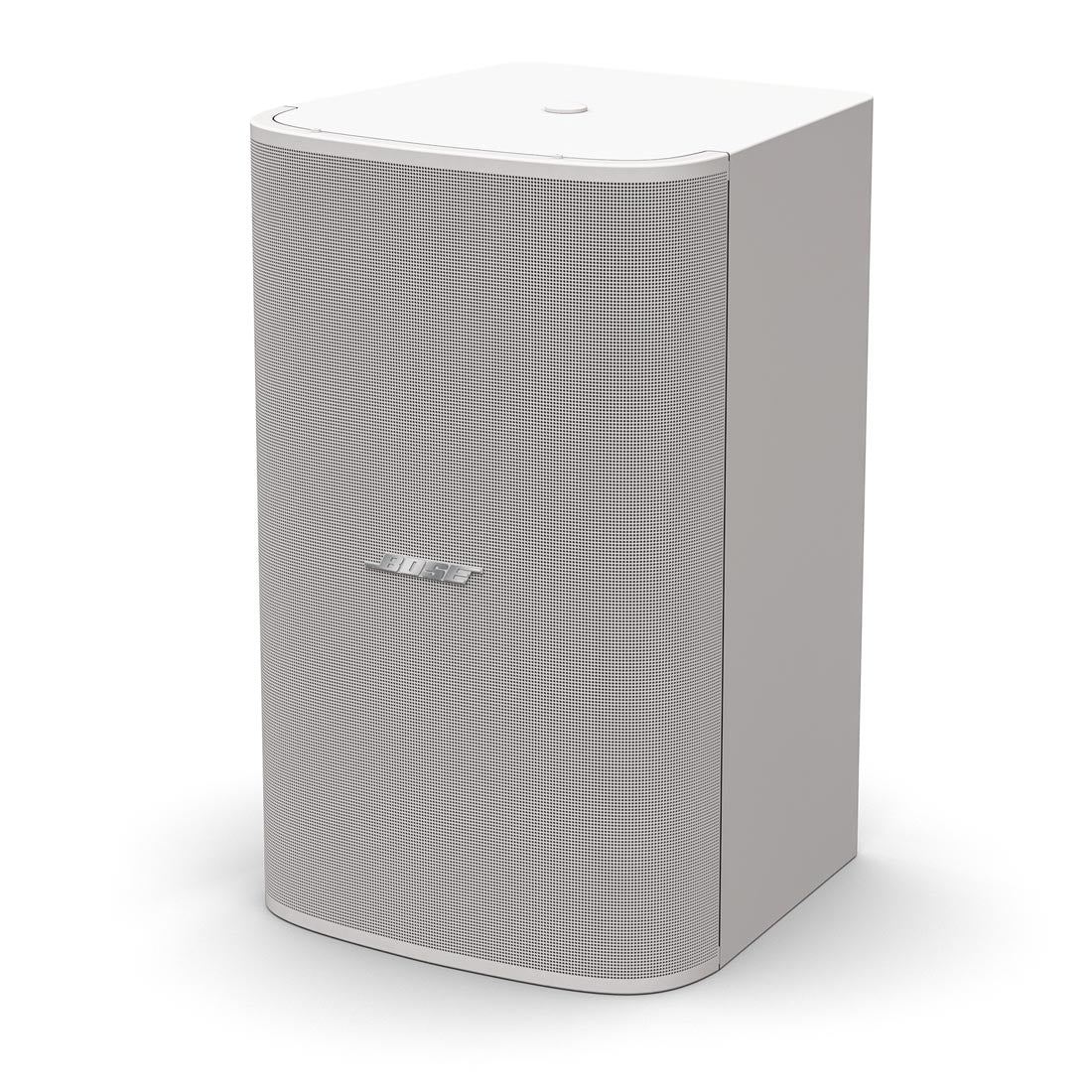 Bose Professional DM10S-SUB 10" DesignMax Surface-Mounted Subwoofer