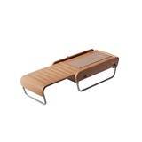 Ceragem V5 Therapetic Thermal Massager