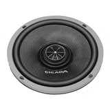 Cicada Audio CXX652 Front