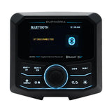 Euphoria EXPRT EMR-7BT LCD Digital Marine Bluetooth Receiver (EMR7BT)