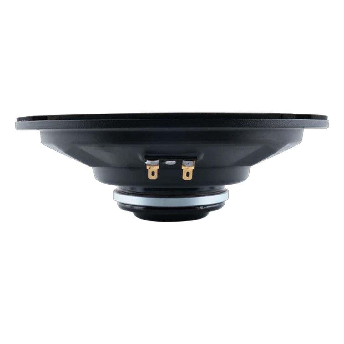 Euphoria XPERT EXM8NSB 8" NEO Sealed Back Midrange Speaker - Each