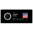 Fusion MS-RA800 Apollo Series Touchscreen Marine Digital Media Receiver with Built-in Wi-Fi
