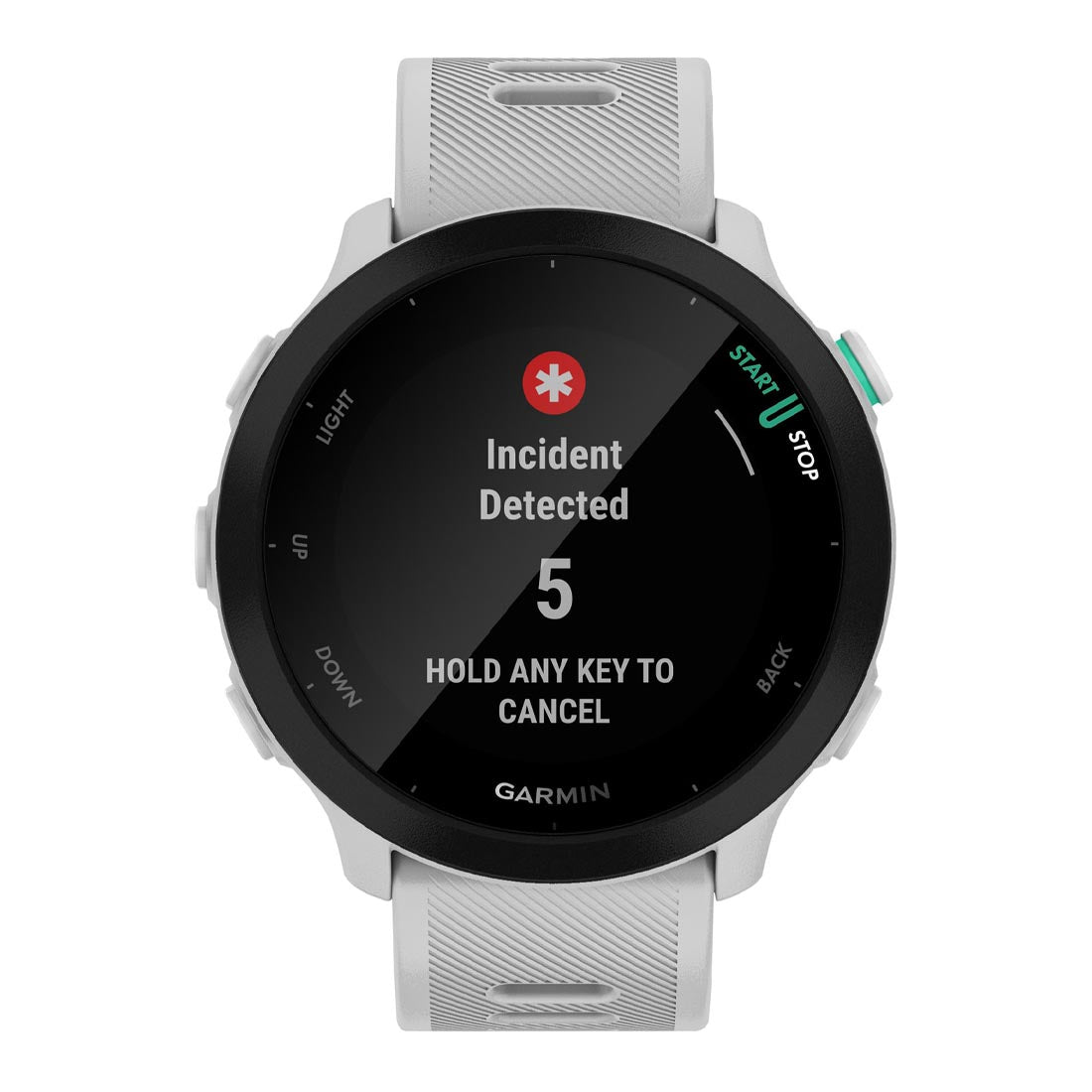 Garmin 010-02562 Forerunner 55 Smartwatch (010-02562)