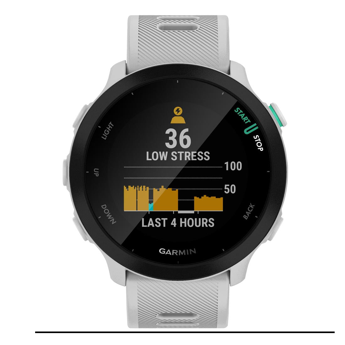 Garmin 010-02562 Forerunner 55 Smartwatch (010-02562)