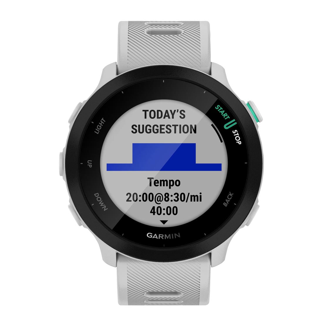 Garmin 010-02562 Forerunner 55 Smartwatch (010-02562)