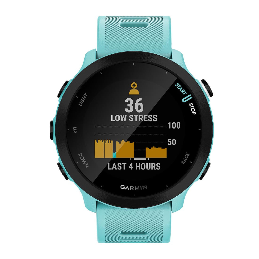 Garmin 010-02562 Forerunner 55 Smartwatch (010-02562)