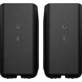 Back of Flexus Surr 200 speakers showing 1/4"-20 threaded insert for wall-mounting 