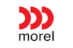 Morel