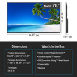 Neptune ODTV7504 75" 4K Full Sun Outdoor Smart TV with Included Tilting Wall Mount