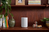 Sonos Era 100 Pro Professional-Grade Bluetooth Smart Speakers - Pair
