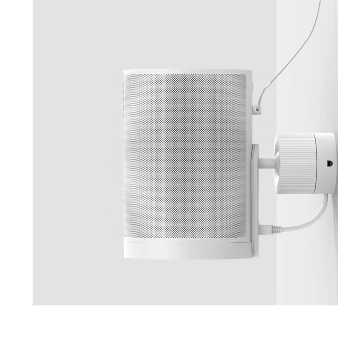 Sonos Era 100 Pro Surface Mount - Pair