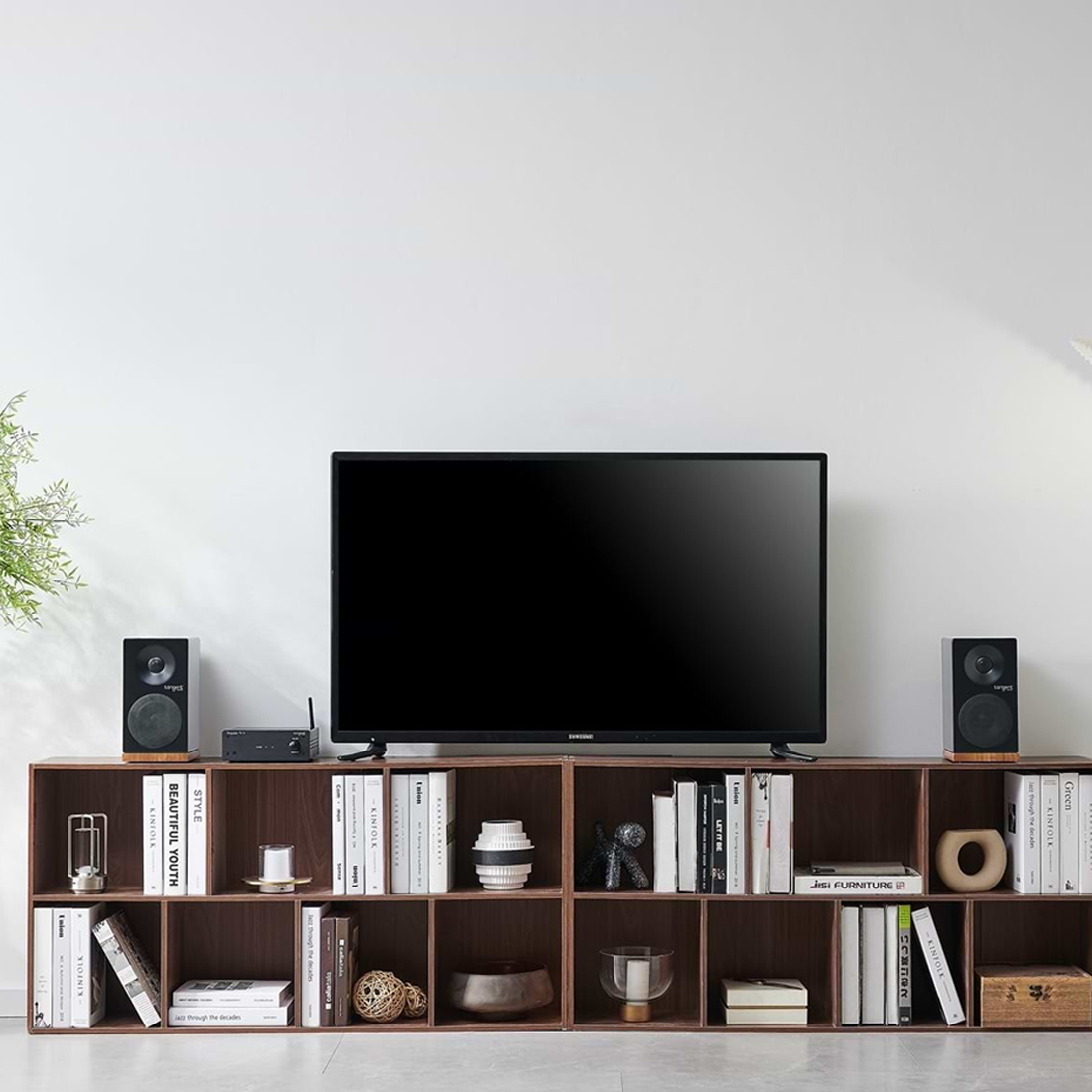 Tangent TANAMPIITV - TV Stereo Amplifier