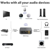 WiiM WIIMAMPPRO Multiroom Streaming Amplifier - Space Gray