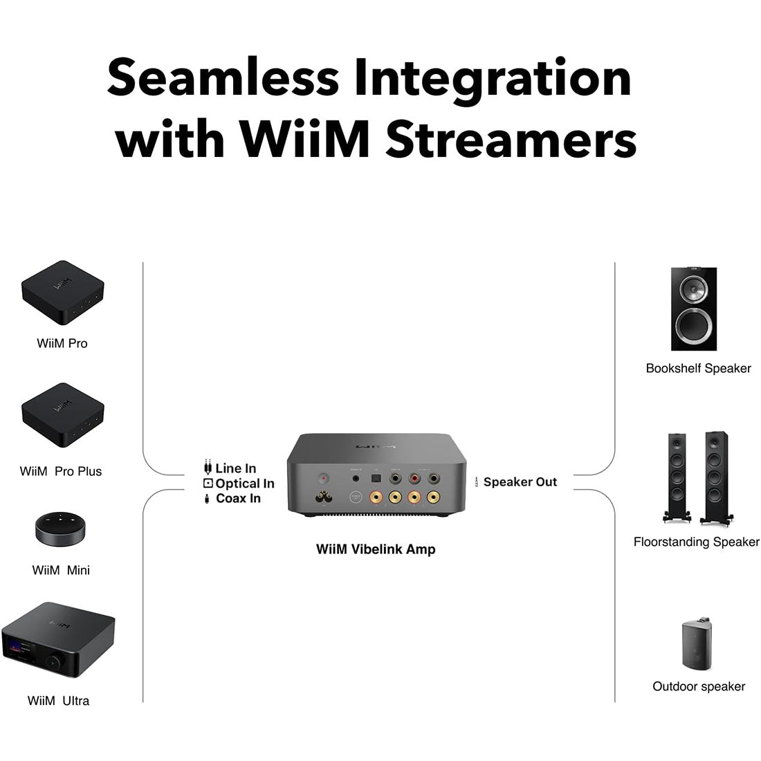 Wiim WIIMVIBELINK Vibelink Intergrated Amplifier - Gibbys