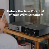 Wiim WIIMVIBELINK Vibelink Intergrated Amplifier