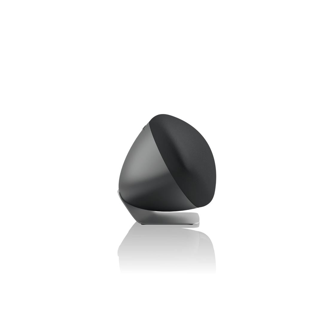 Bowers & Wilkins Zeppelin Pro Edition Wireless Home & Smart Speaker