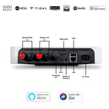 Bluesound Powernode Edge wireless streaming amp connection diagram