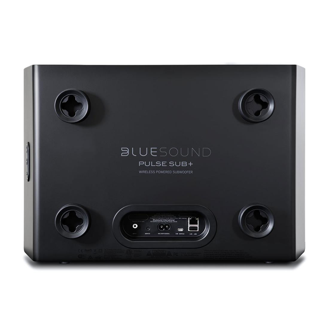 Bluesound Pulse Sub+ subwoofer inputs