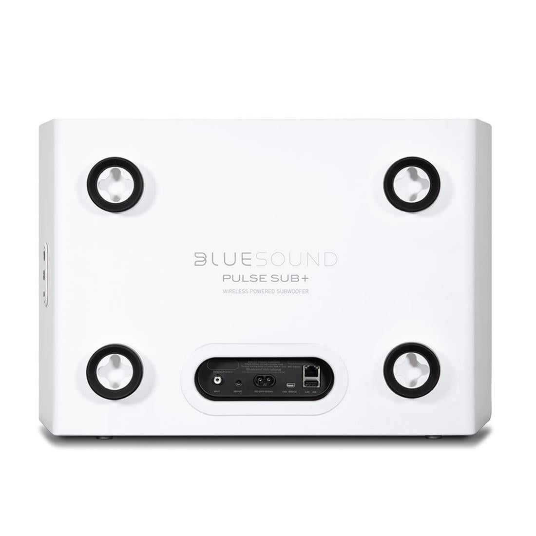 Bluesound Pulse Sub+ subwoofer inputs