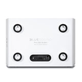 Bluesound Pulse Sub+ subwoofer inputs