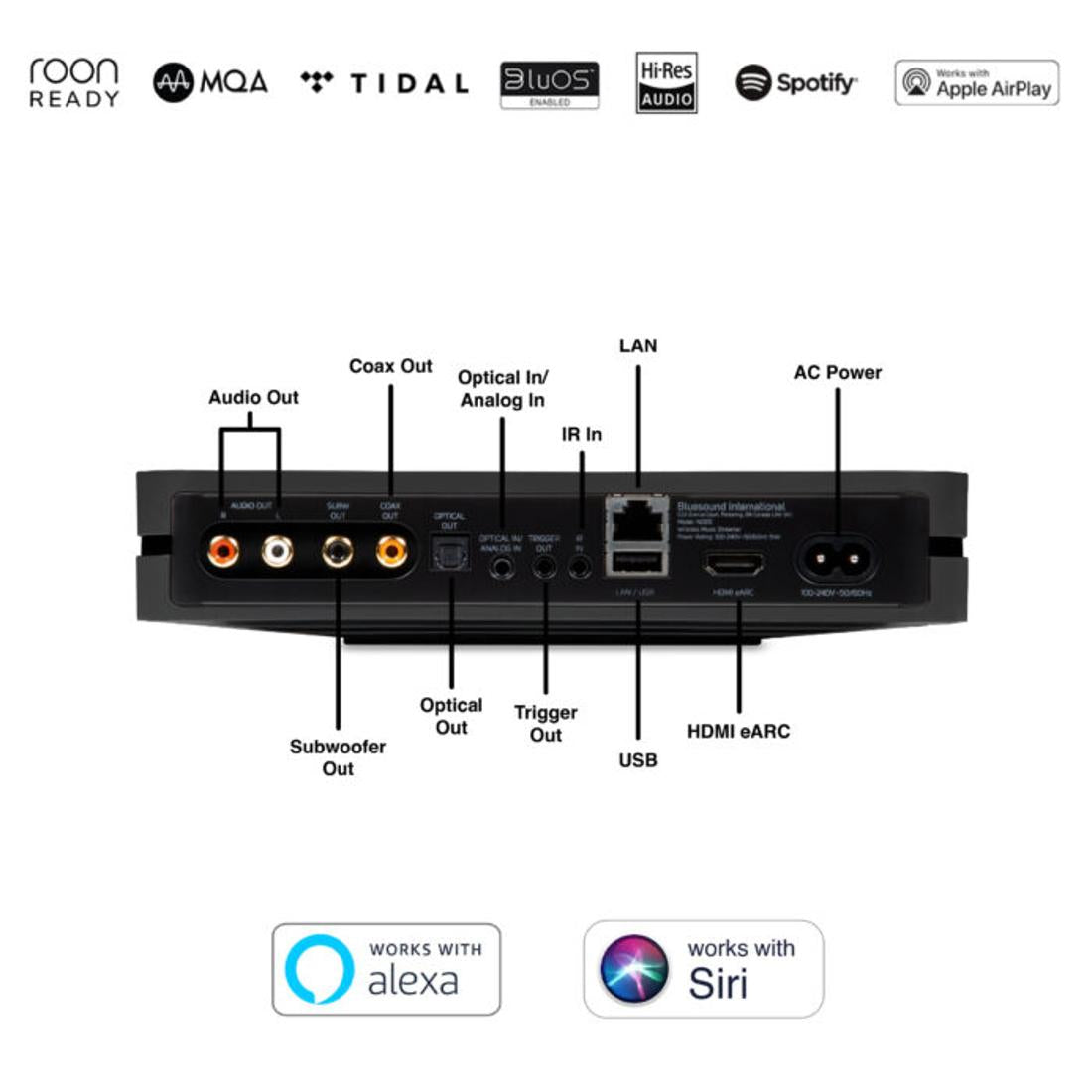 Bluesound Node input and output diagram