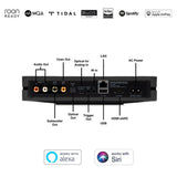 Bluesound Node input and output diagram