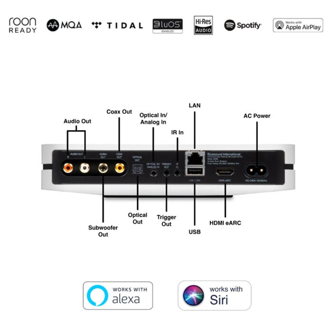 Diagram of Bluesound NODE inputs and outputs