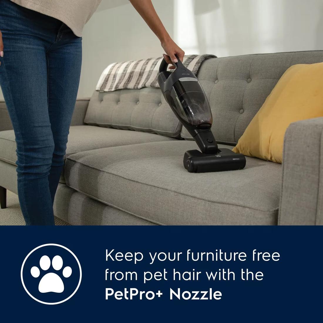 Electrolux WellQ7 Pet Vacuum