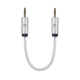 iFi Audio 0306045-4444 4.4mm To 4.4mm Cable (0306045-4444)